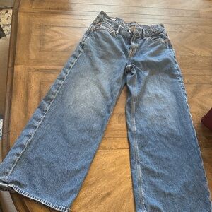 American Eagle Outfitters Blue Flare & Wide Leg Jeans